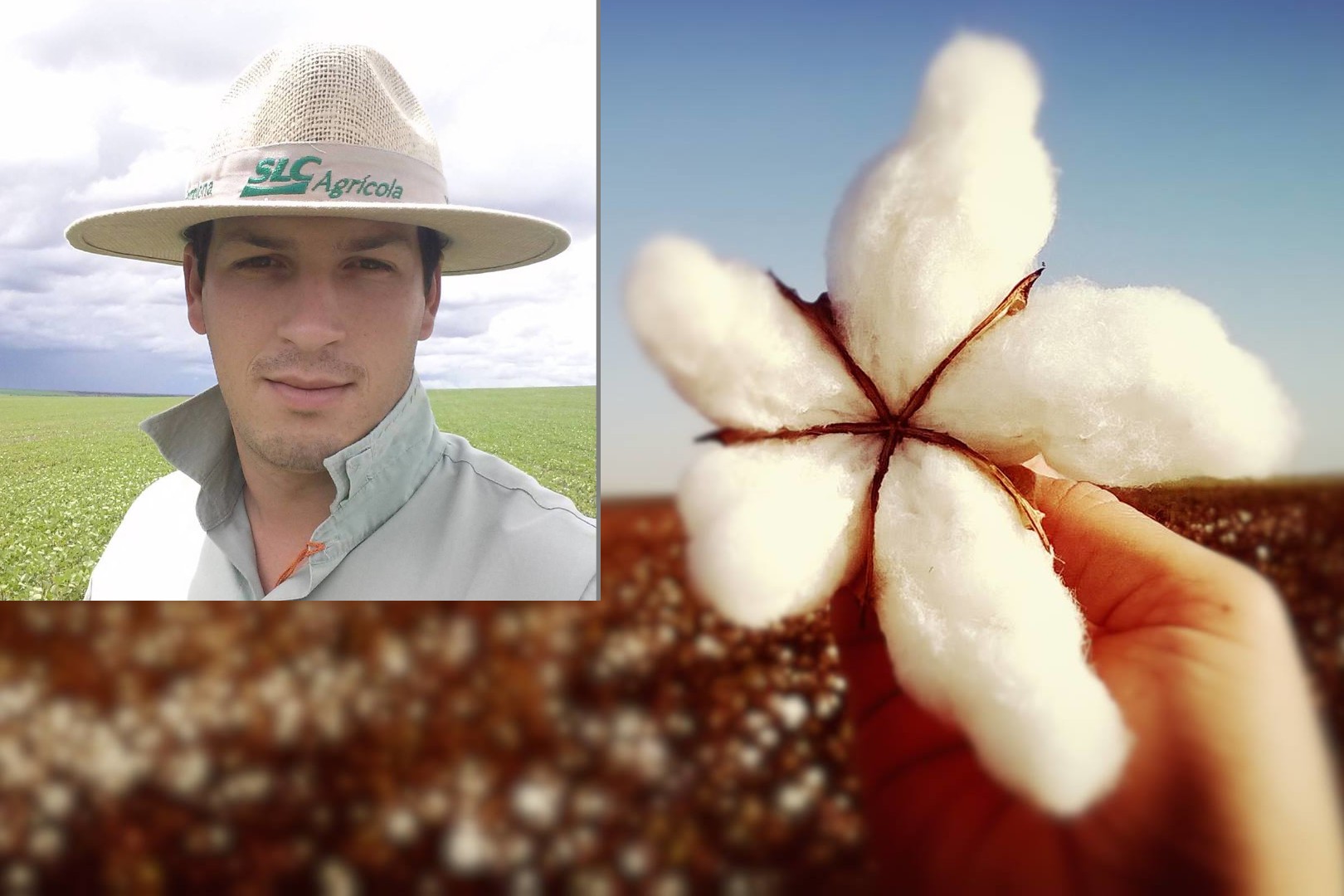 Andr Schwaab gerencia duas fazendas de algodo na Bahia