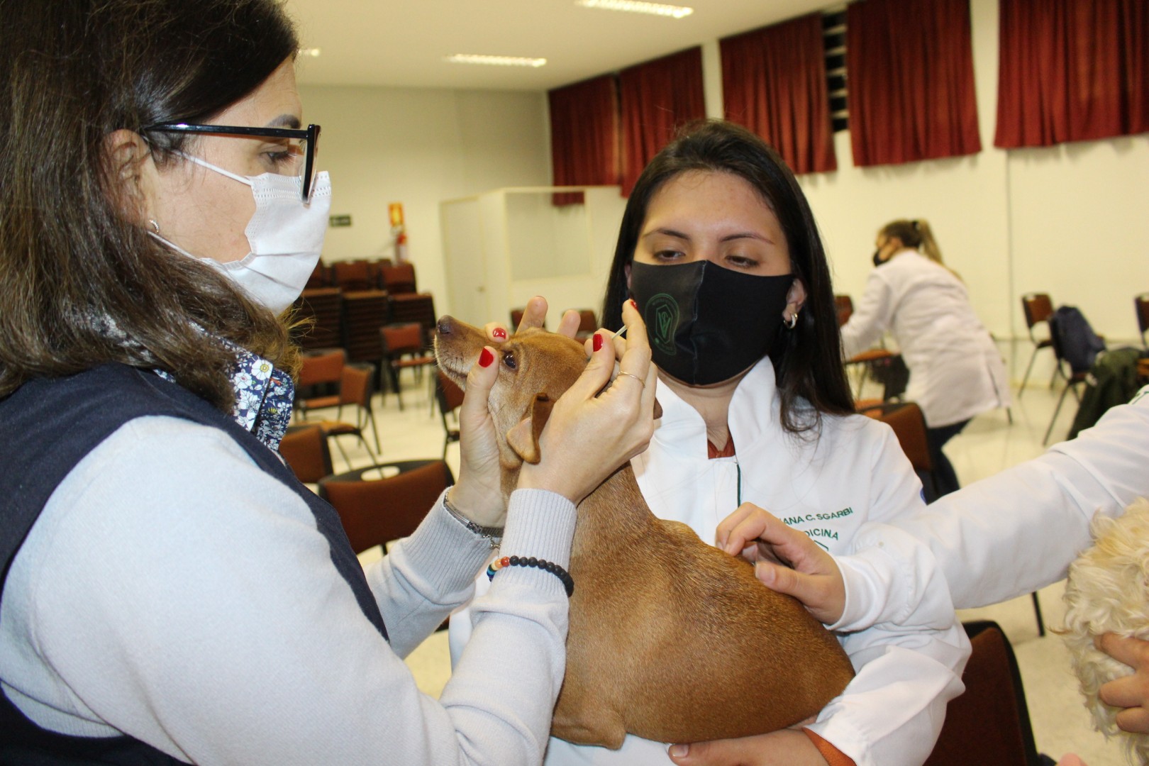 Acupuntura em Pets foi ministrado pela Mdica  Veterinria Joana Grand 