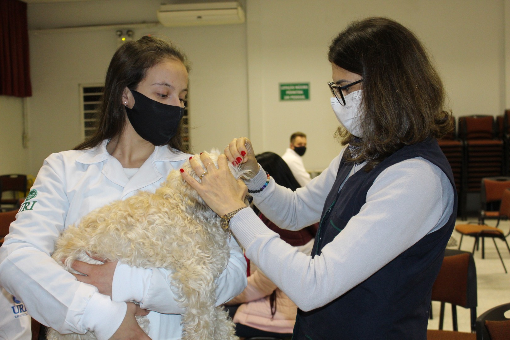 Acupuntura em Pets foi ministrado pela Mdica  Veterinria Joana Grand 
