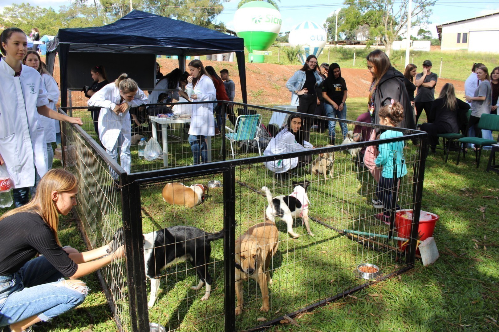 Vários animais foram adotados durante o evento