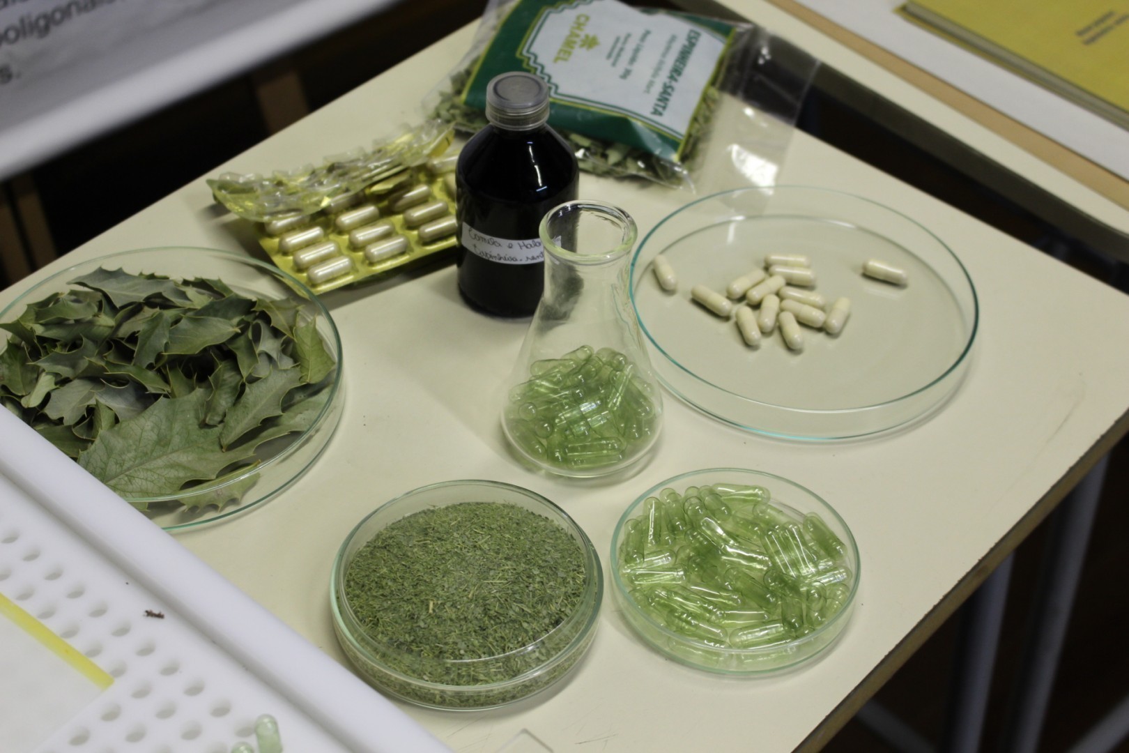 Exposição apresentou alternativas de medicamentos que podem ser extraídos das plantas 